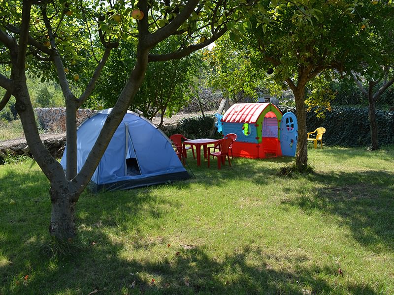 house-image